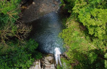 JUNGLE DREAMS FARM: WHERE NATURE MEETS SERENITY – 20 ACRES